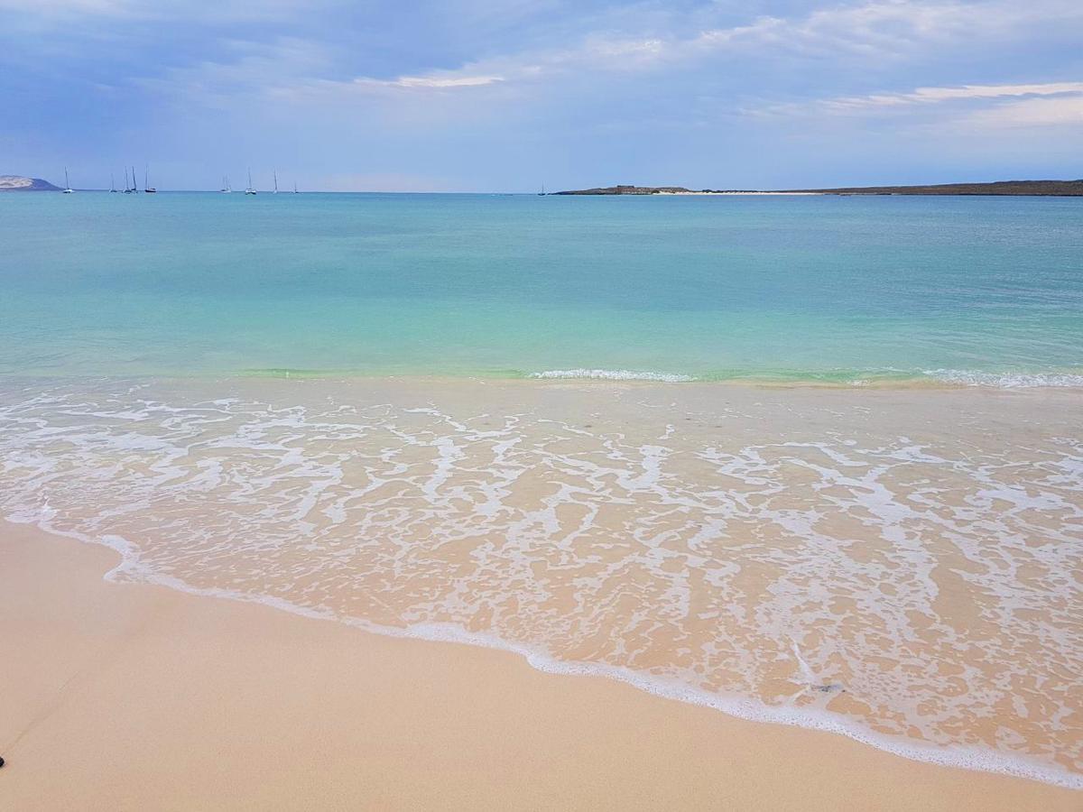 Ca' Greta - Big Apartment Close Estoril Beach Σαλ Ρέι Εξωτερικό φωτογραφία